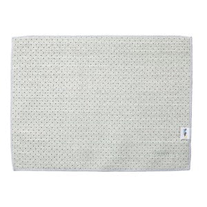 FX 制菌クロス TioTio  300×400mm 抗菌防臭 制菌 掃除用品 テラモト